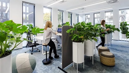 3487d1f1af7e4.png 3487d1f1af7e4.png