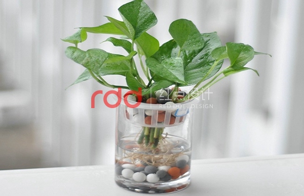 20180426032051361.jpg 20180426032051361.jpg